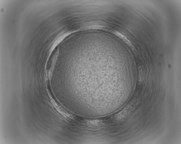 X0000059091031200510211602