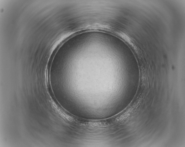 X0000059091032200510211602