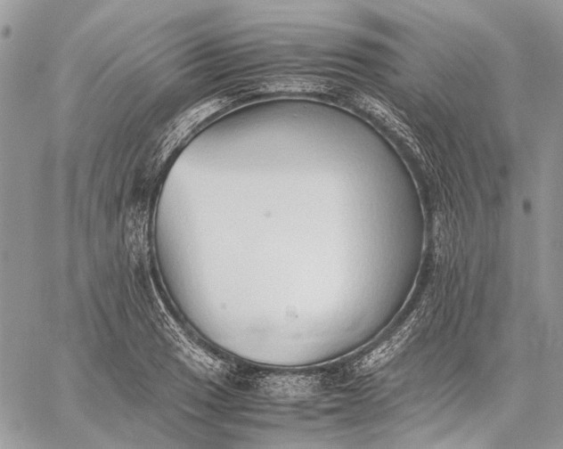 X0000059091033200510211602