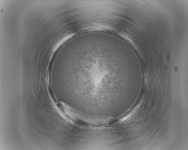 X0000059091034200510211602