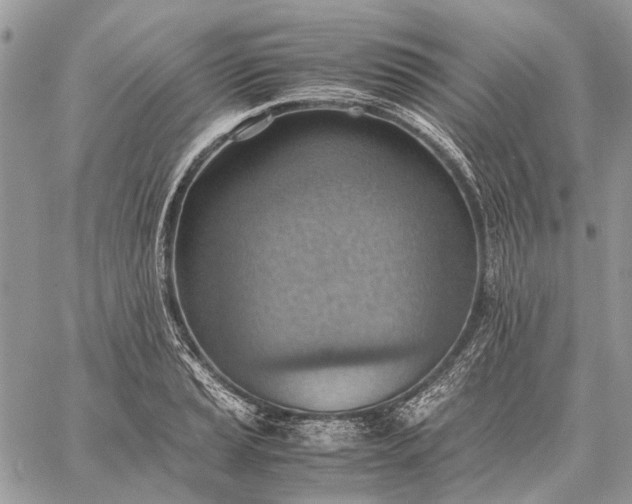 X0000059091037200510211602