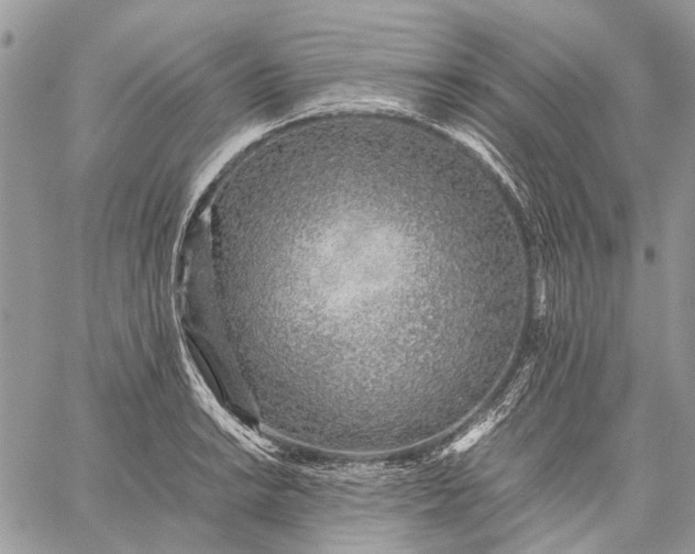 X0000059091038200510211602