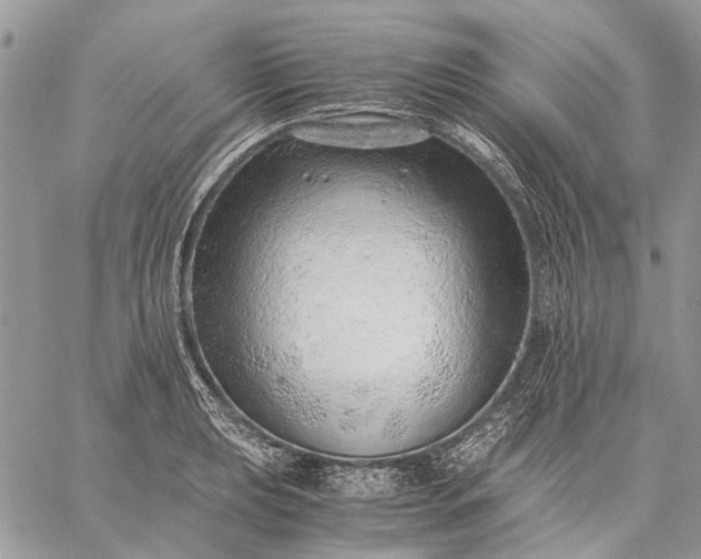 X0000059091039200510211602