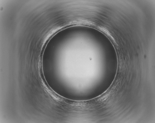 X0000059091040200510211602