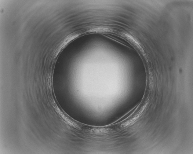 X0000059091041200510211602