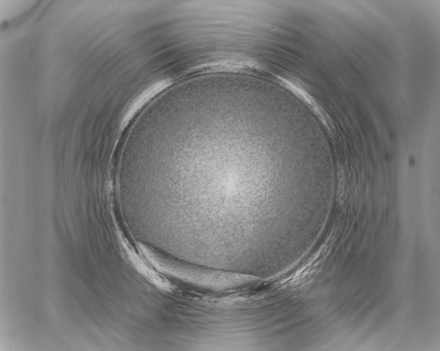 X0000059091042200510211602