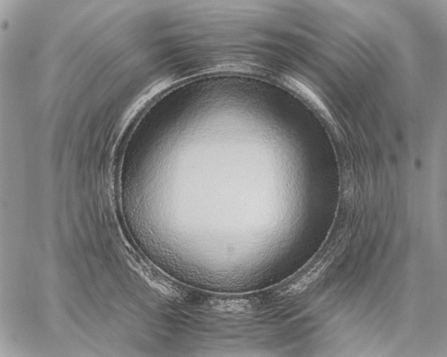 X0000059091043200510211602