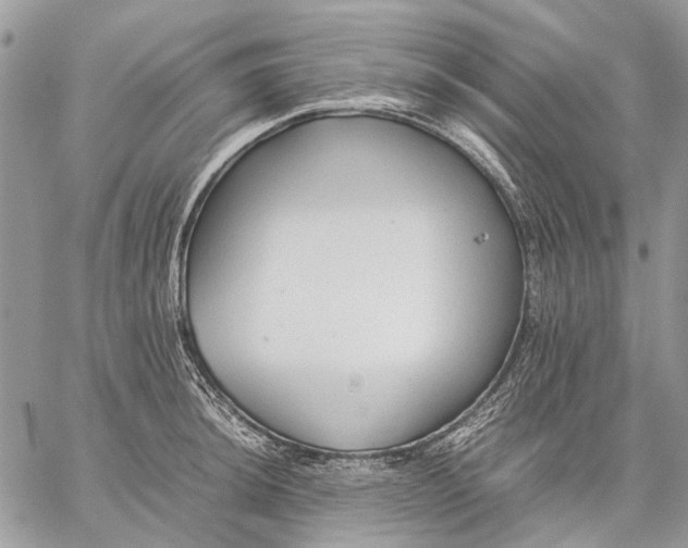 X0000059091044200510211602