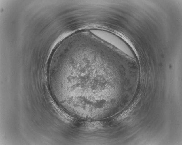 X0000059091045200510211602