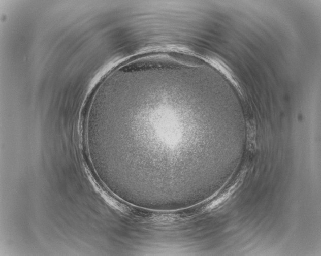 X0000059091046200510211602