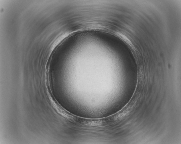 X0000059091047200510211602