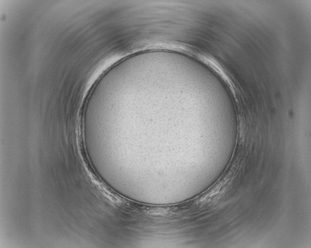 X0000059091048200510211602