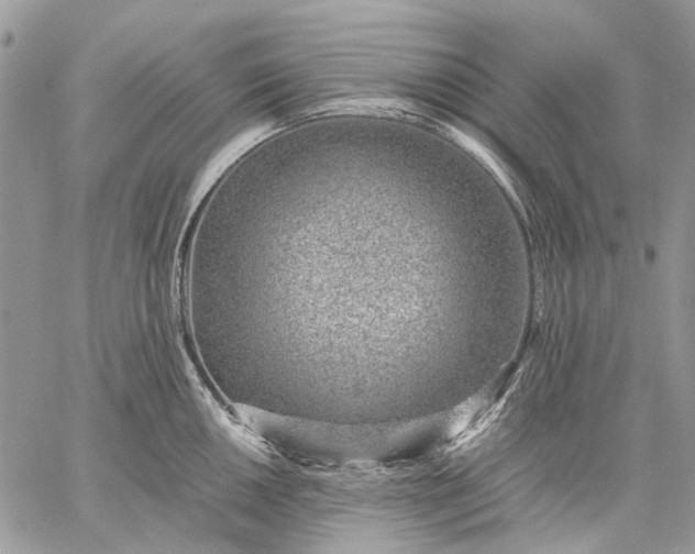 X0000059091050200510211602