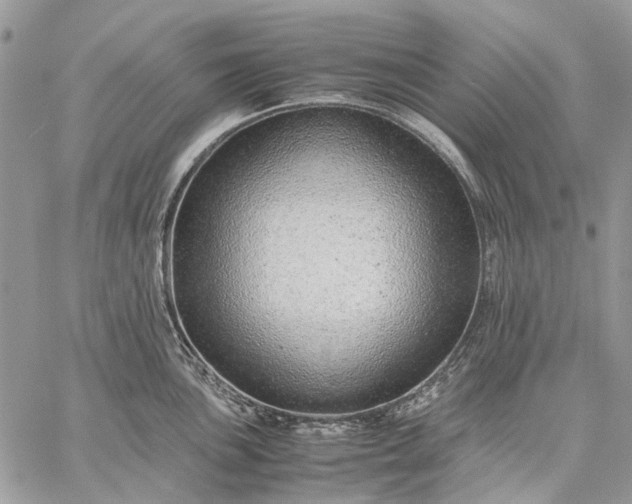 X0000059091051200510211602