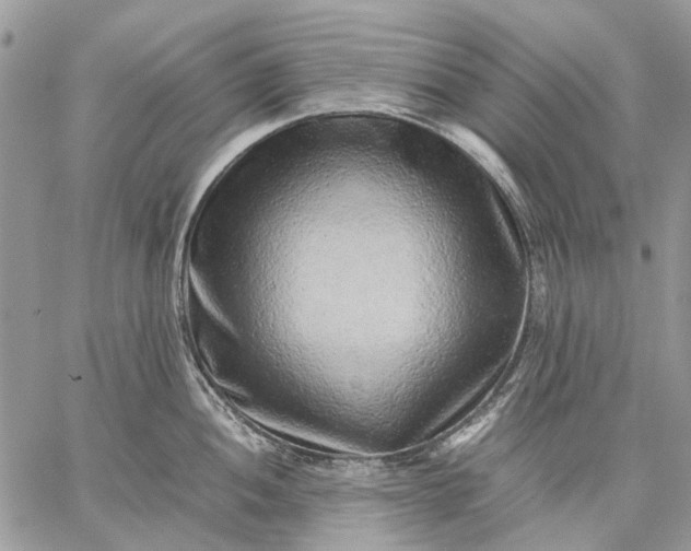 X0000059091052200510211602