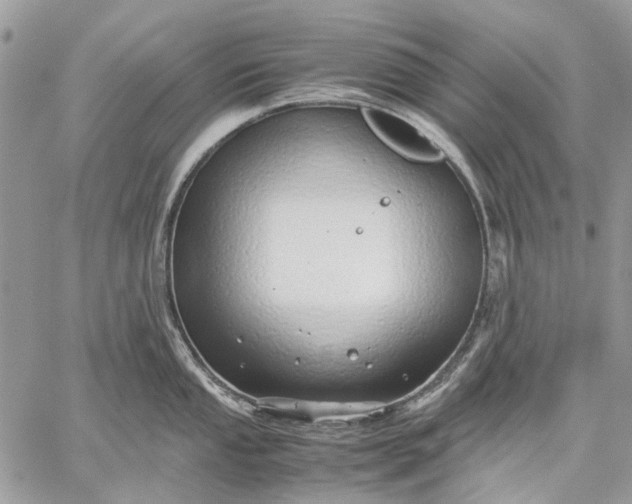 X0000059091053200510211602