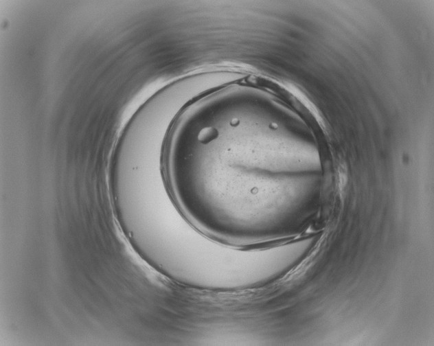 X0000059091054200510211602