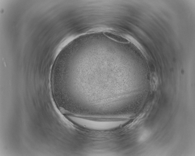 X0000059091055200510211602