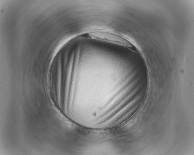 X0000059091056200510211602