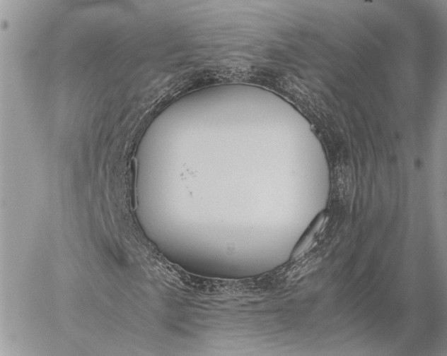 X0000059091057200510211601