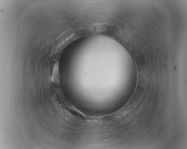 X0000059091058200510211601