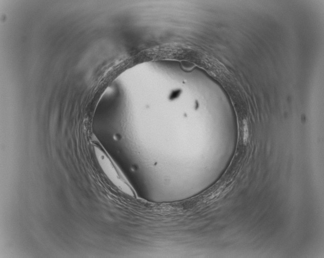 X0000059091059200510211601