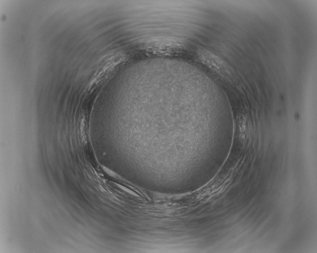 X0000059091060200510211601