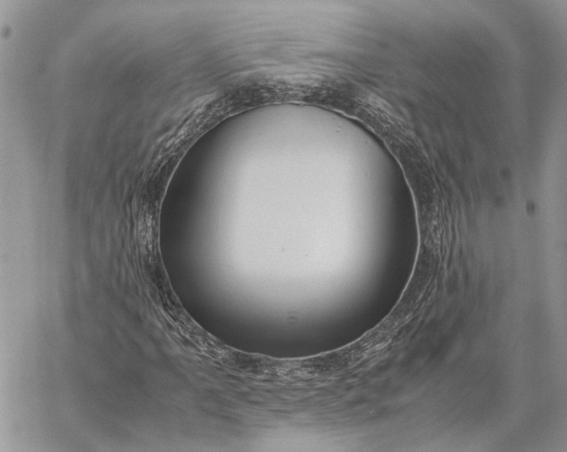 X0000059091061200510211601