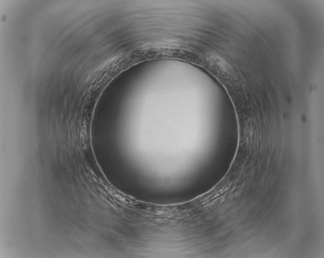 X0000059091062200510211601