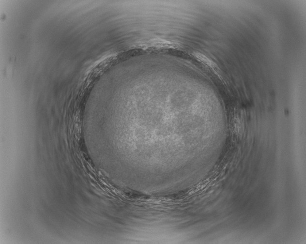 X0000059091063200510211601