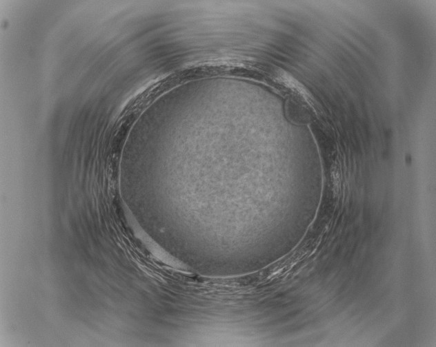 X0000059091064200510211601