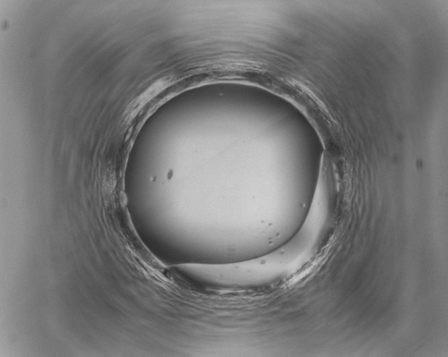 X0000059091065200510211601