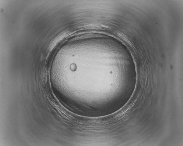 X0000059091067200510211601