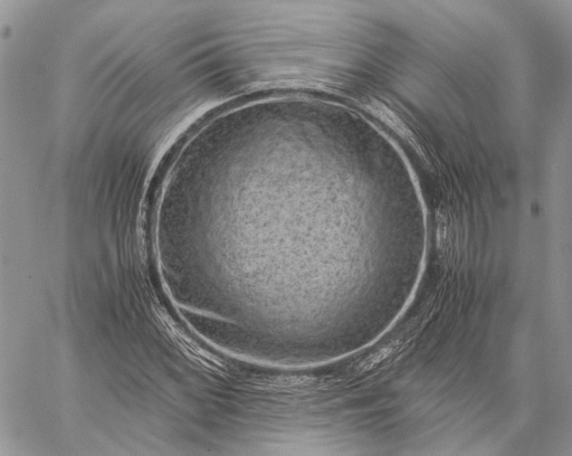 X0000059091068200510211601