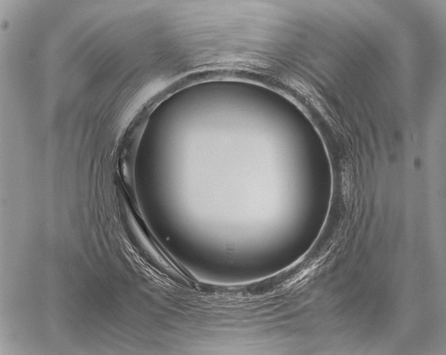 X0000059091069200510211601