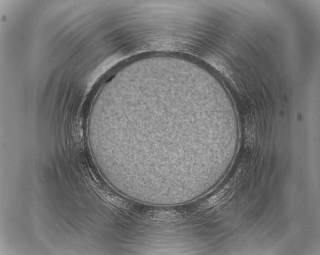 X0000059091070200510211601