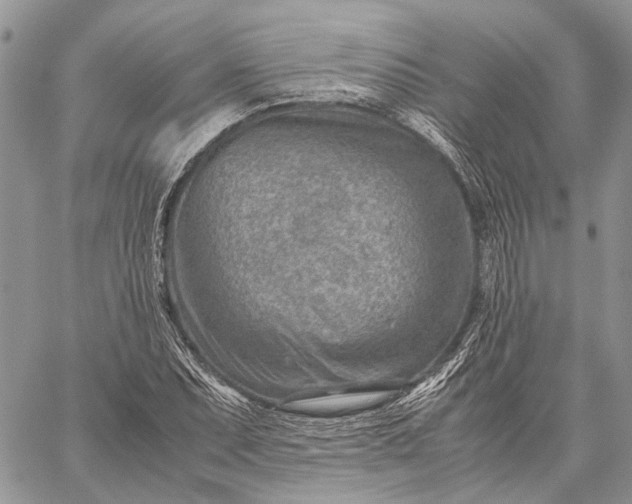 X0000059091071200510211601