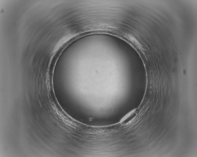 X0000059091072200510211601