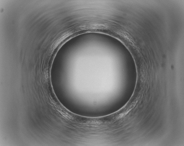 X0000059091073200510211601