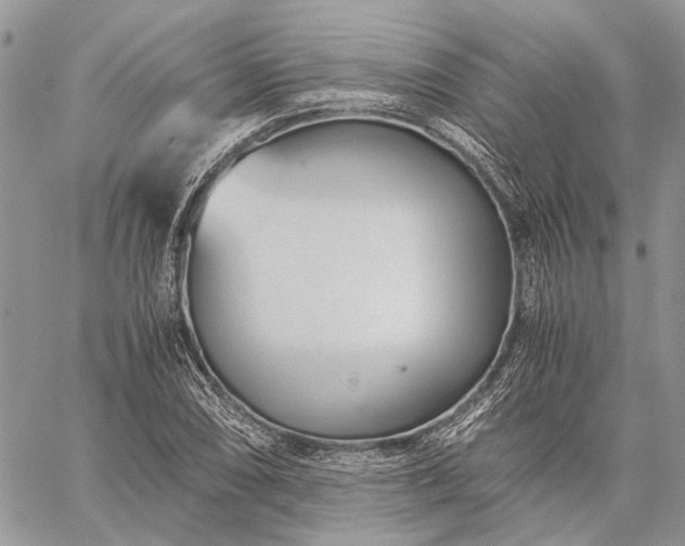 X0000059091074200510211601