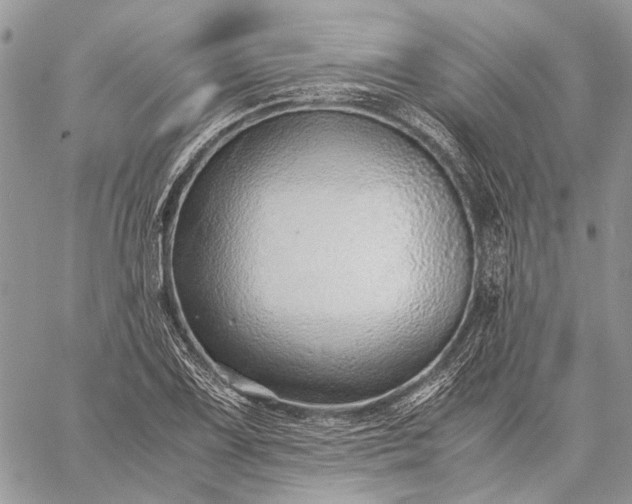 X0000059091075200510211601