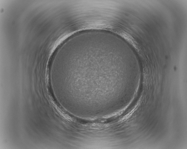 X0000059091077200510211601