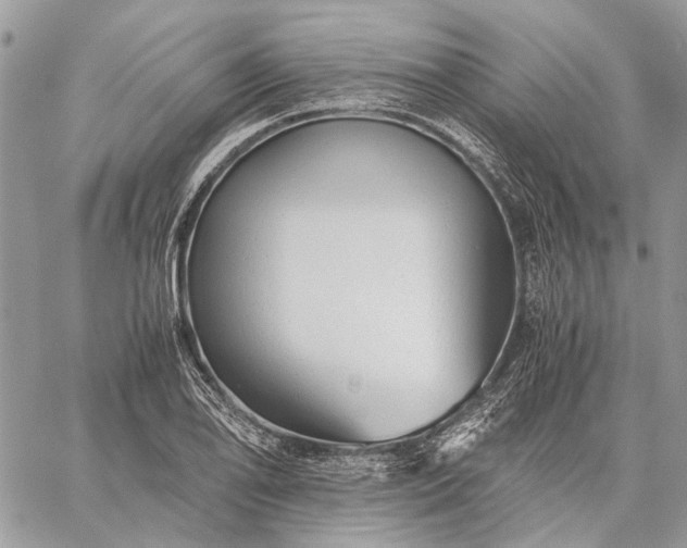 X0000059091078200510211601