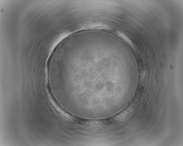 X0000059091079200510211601