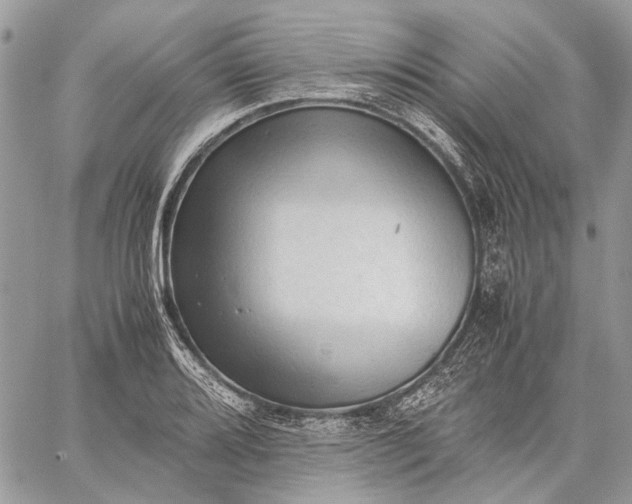 X0000059091080200510211601