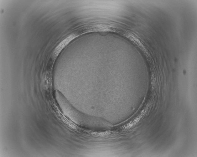 X0000059091081200510211601