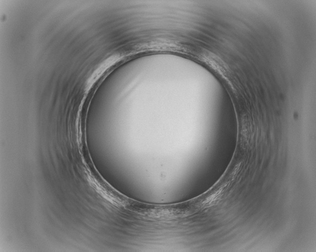 X0000059091082200510211601