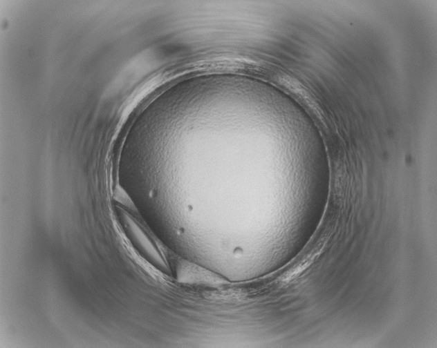 X0000059091083200510211601