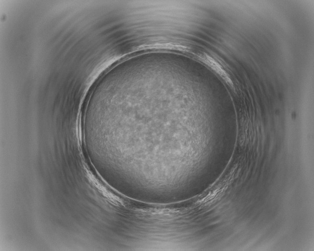 X0000059091084200510211601