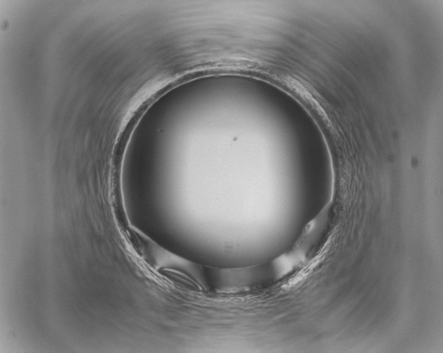 X0000059091085200510211601